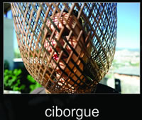 ciborgue